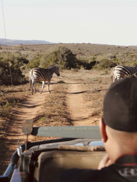 Amakhala Gamedrive