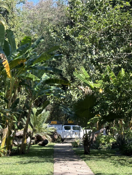 Caprivistrip Tropical Garden