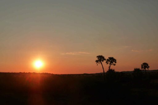 Zonsondergang over Damaraland