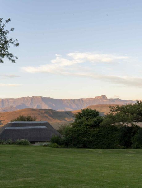 Drakensberg View