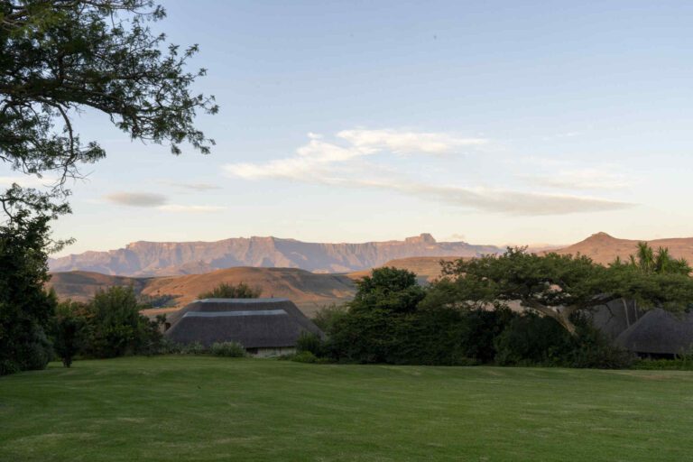 Drakensberg View