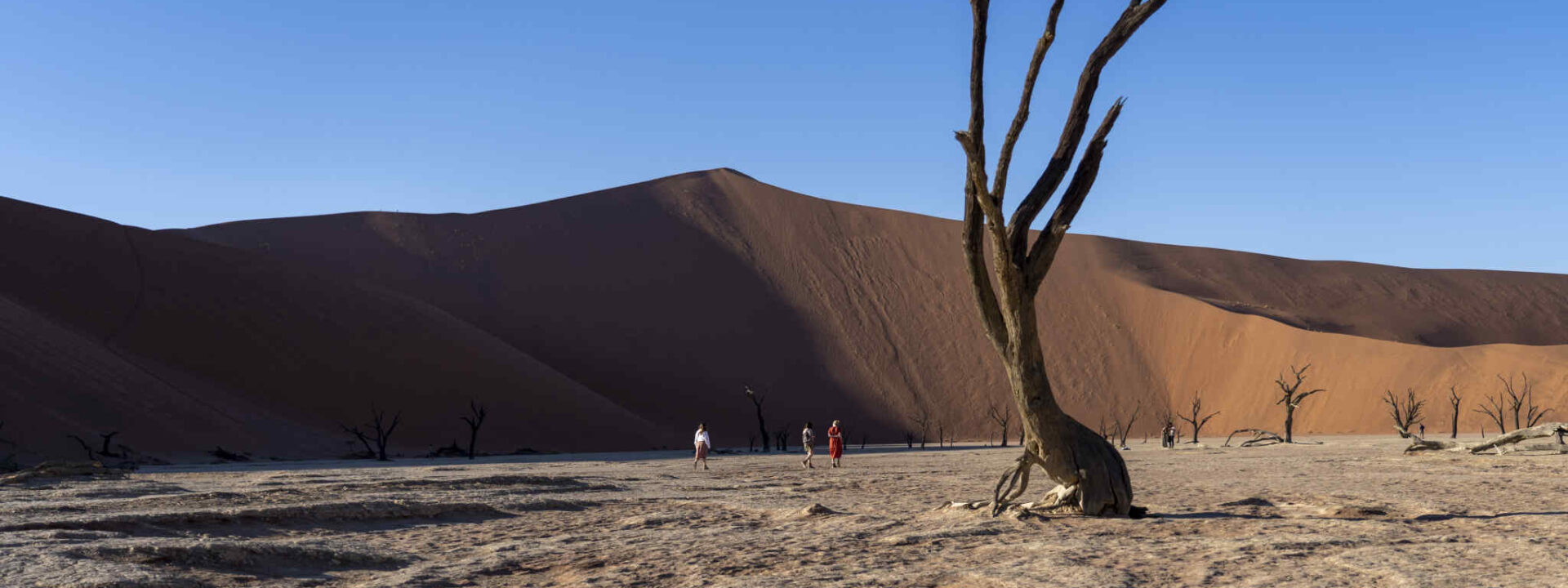 Deadvlei in Namibië