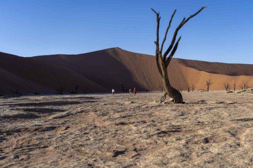 Deadvlei in Namibië