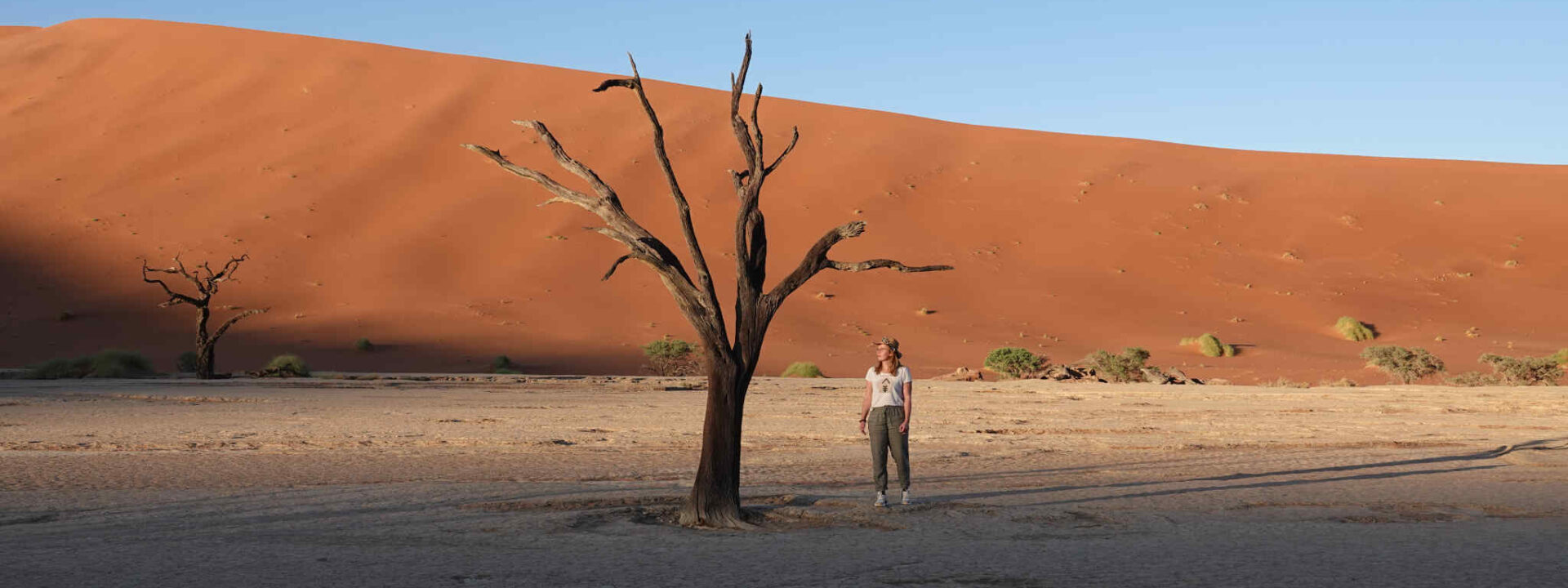 Vrouw bij een dode boom in de Deadvlei in Namibië