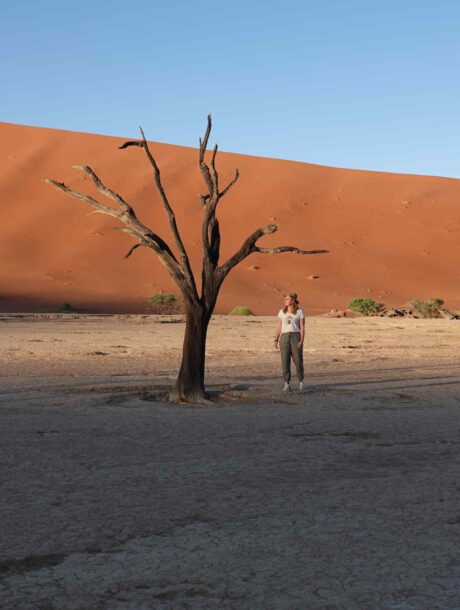Vrouw bij een dode boom in de Deadvlei in Namibië