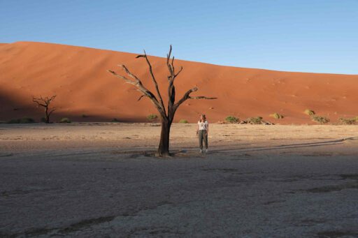 Vrouw bij een dode boom in de Deadvlei in Namibië