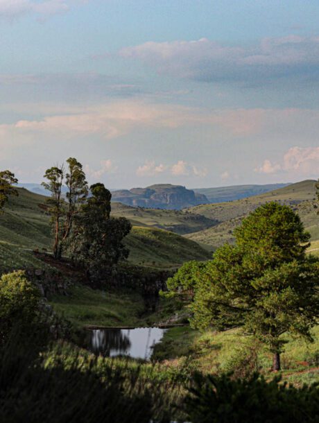 Dullstroom landschap
