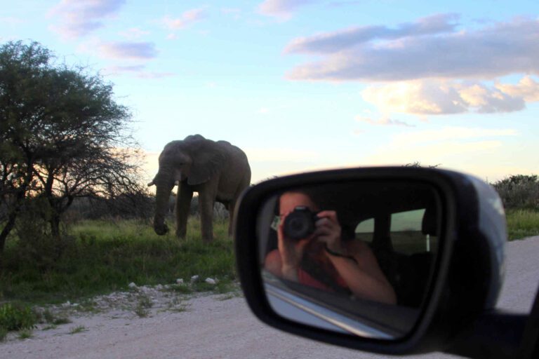 Op safari in Etosha met een olifant en camera in de zijspiegel