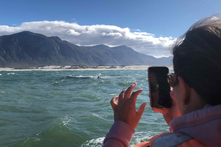 Vrouw met iPhone tijdens het walvisspotten in Hermanus