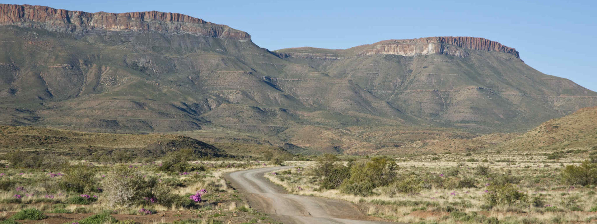 Mooie weg in Karoo Nationaal Park in Zuid-Afrika