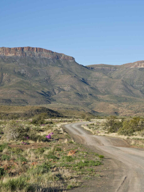 Mooie weg in Karoo Nationaal Park in Zuid-Afrika