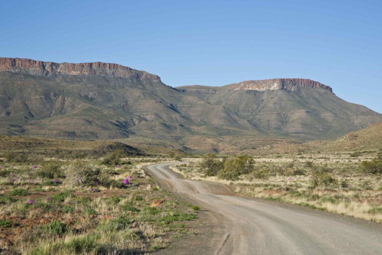 Mooie weg in Karoo Nationaal Park in Zuid-Afrika