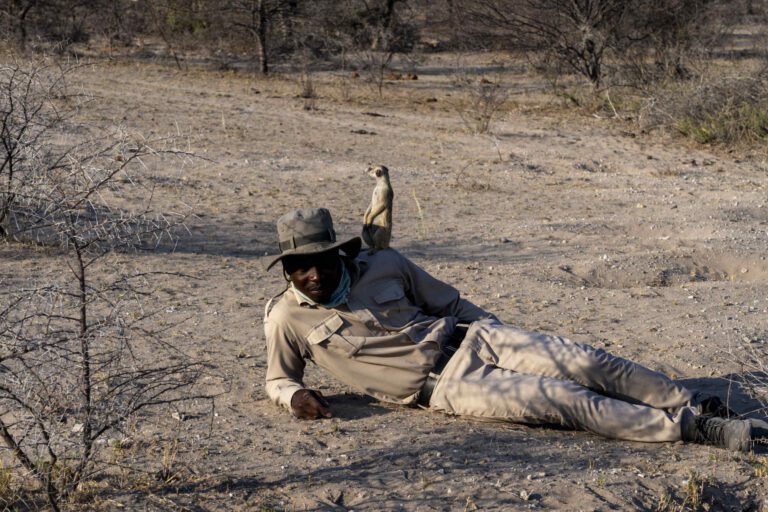 Gids met stokstaartje op zijn schouder in de Makgadikgadi Zoutpannen in Botswana