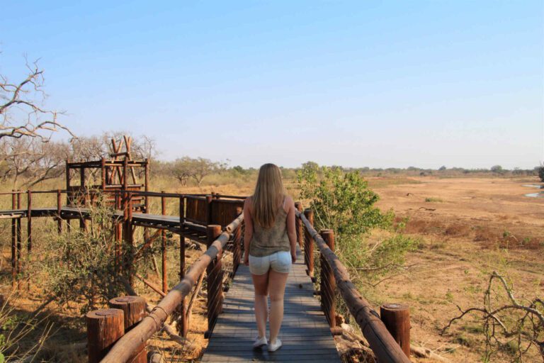 Vrouw over looppad in Mapungubwe Nationaal Park in Zuid-Afrika