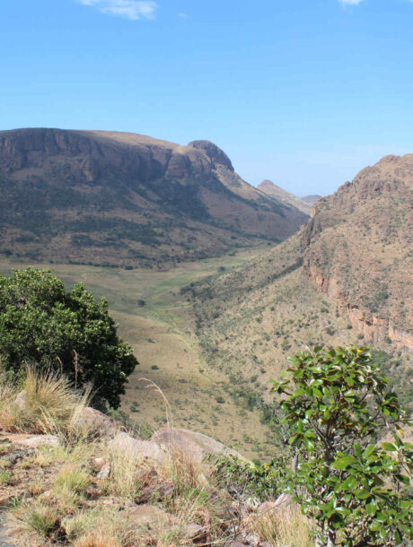 Uitzicht over de vallei vanaf de weg in Marakele Nationaal Park in Zuid-Afrika