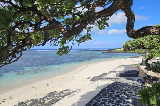 Strand in Mauritius met overhangende boom
