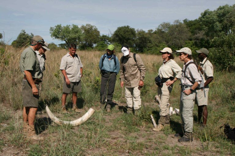 Groep toeristen tijdens een wandeling door Moremi Game Reserve
