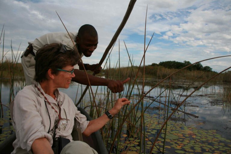 Gids vertelt over kikkers in de Okavango Delta