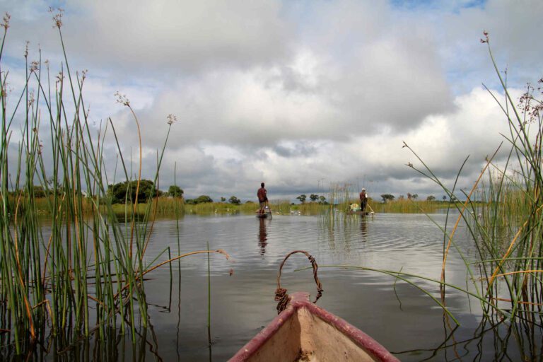 Okavango Delta vanuit een mokoro