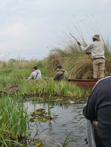 Mokorotocht door de Okavango Delta met een familie