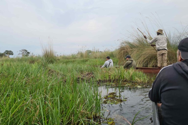 Mokorotocht door de Okavango Delta met een familie