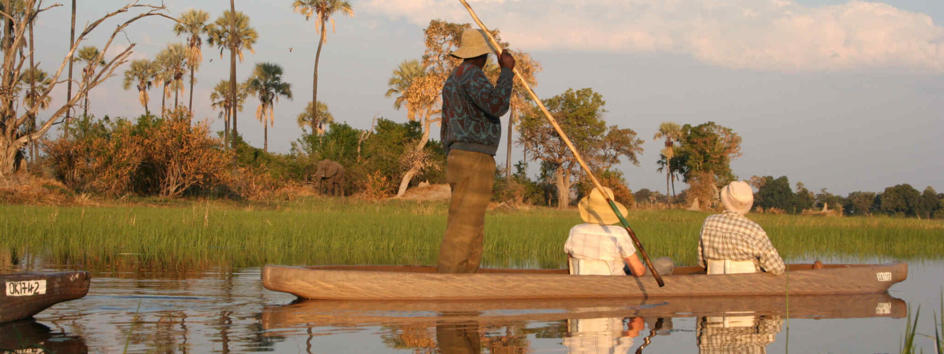 Mokorotocht met olifant op de achtergrond in de Okavango Delta in Botswana
