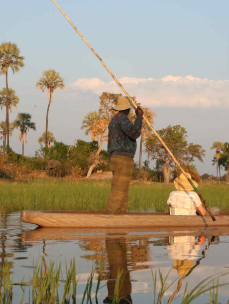 Mokorotocht met olifant op de achtergrond in de Okavango Delta in Botswana
