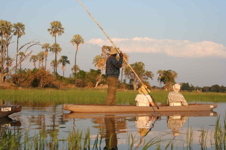 Mokorotocht met olifant op de achtergrond in de Okavango Delta in Botswana