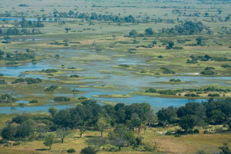 Uitzicht over de Okavango Delta