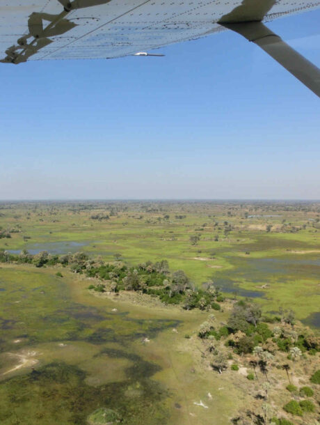 Uitzicht over de Okavango Delta vanuit een vliegtuigje