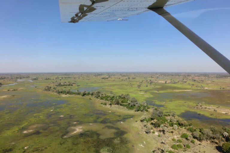 Uitzicht over de Okavango Delta vanuit een vliegtuigje