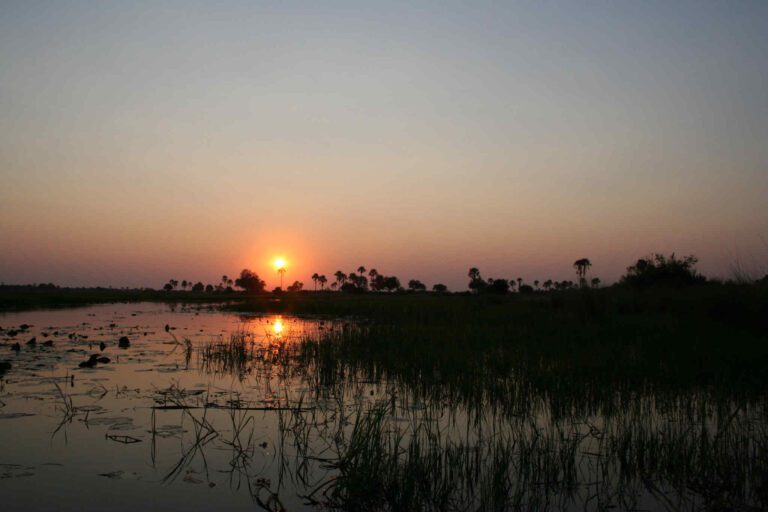 Zonsondergang over de Okavango Delta gefotografeerd vanaf een bootje