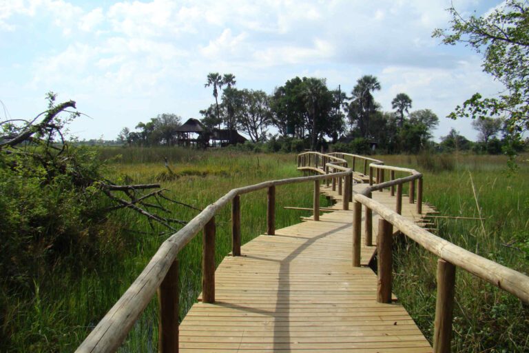 Walkway door de Okavango Delta van een lodge