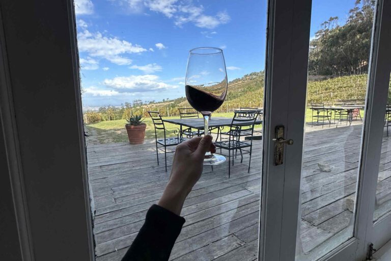 Een glas rode wijn in Constantia in Kaapstad