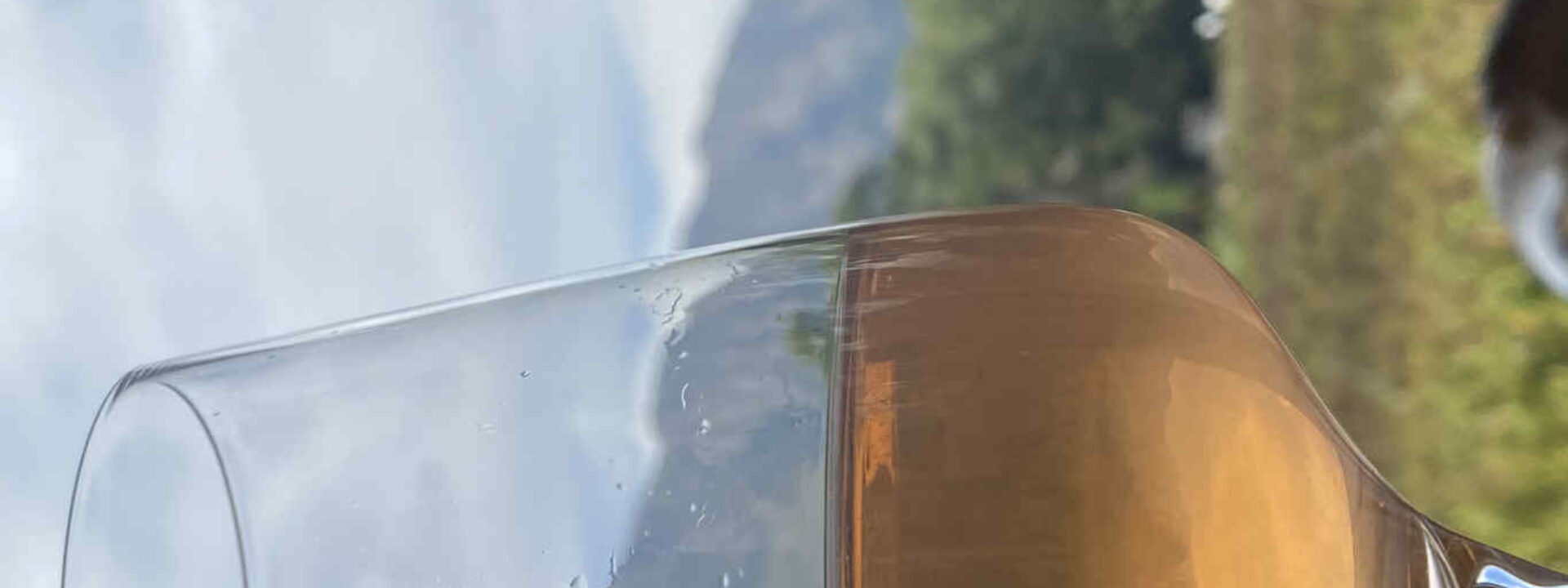 Rosé in Franschhoek vallei