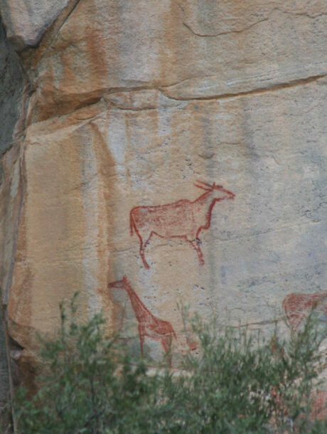 Rotstekening van een eland en een giraffe in het Twijfelfontein gebied in Namibië