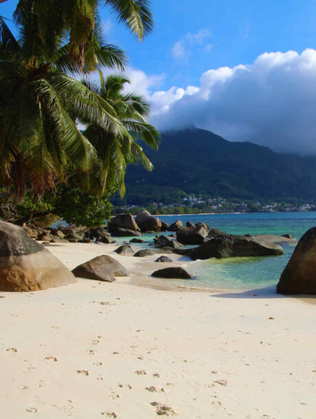 Strand op de Seychellen met palmbomen en dreigende lucht
