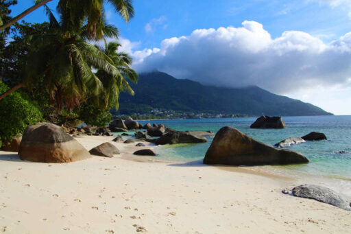 Strand op de Seychellen met palmbomen en dreigende lucht