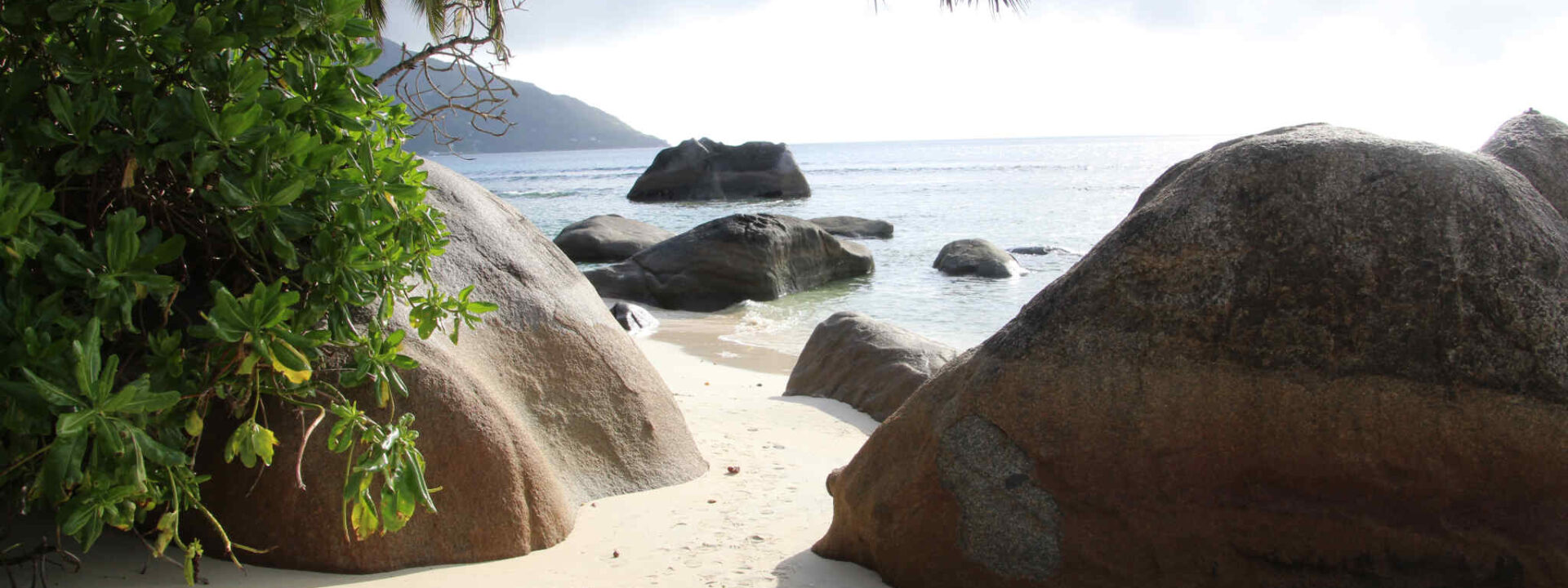 Strand en rotsen op de Seychellen