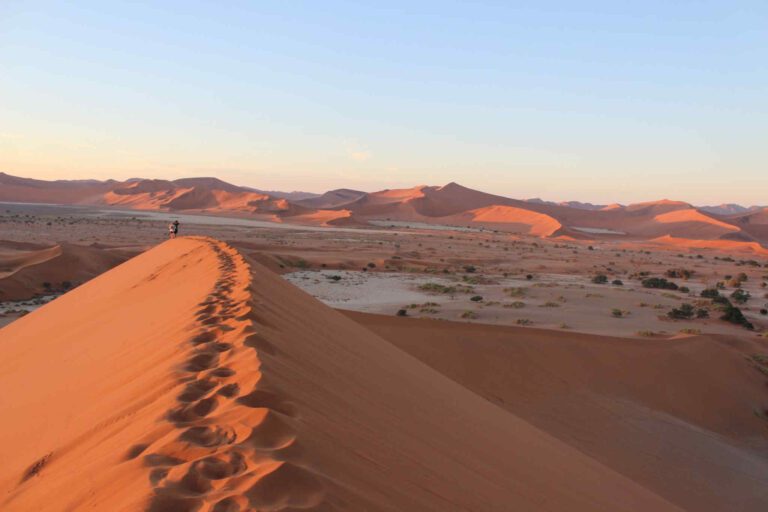 Rode duin in de Sossusvlei bij zonsopkomst