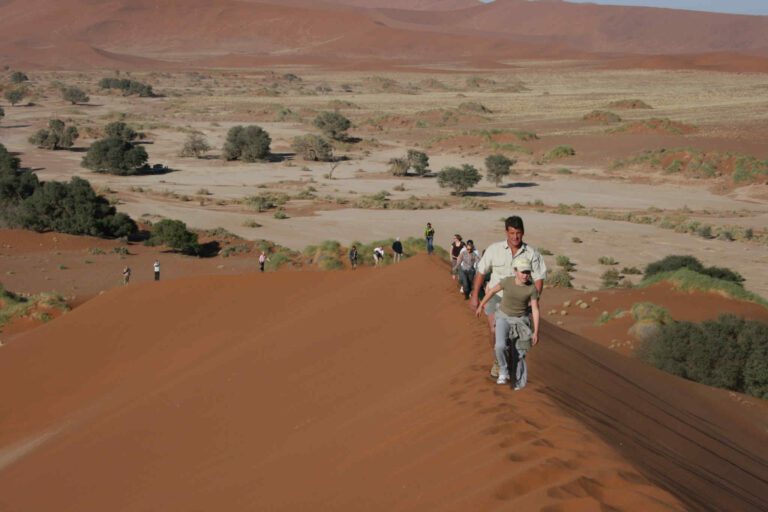 Duinwandeling met een groep door de Sossusvlei
