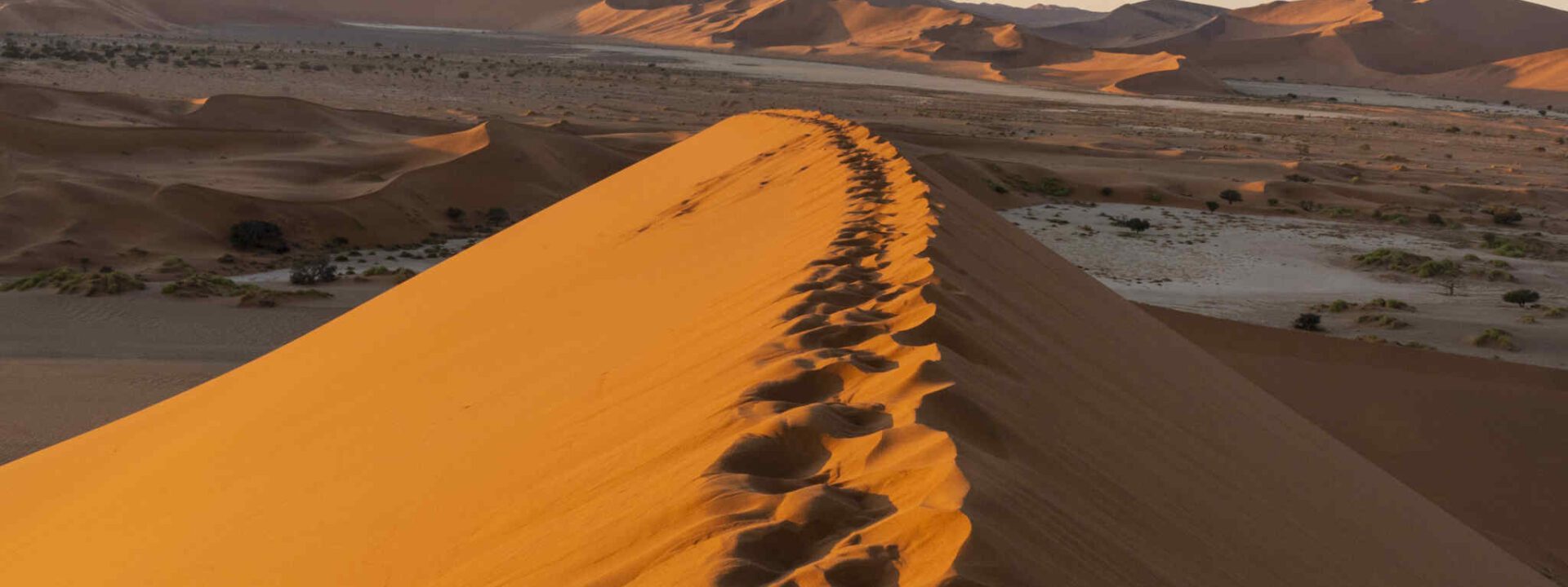 Voetstappen over de duinen in de Sossusvlei