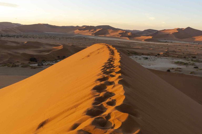 Voetstappen over de duinen in de Sossusvlei