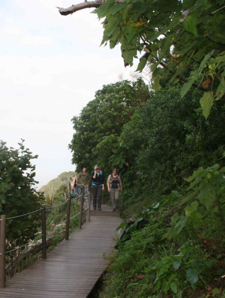 Wandelpad langs de kust in Tsitsikamma NP