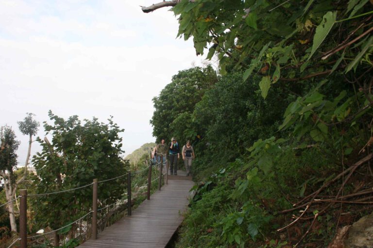 Wandelpad langs de kust in Tsitsikamma NP