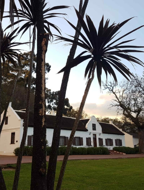 Wijnhuis in Franschhoek