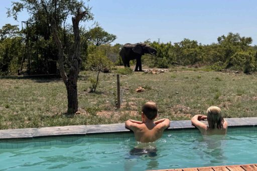 Een zwembad met twee kinderen en uitzicht op een olifant die drinkt