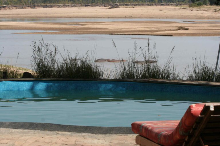 Zwembad met uitzicht op nijlpaarden in Zambia
