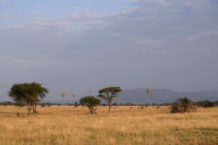 Ballonvlucht in de Serengeti