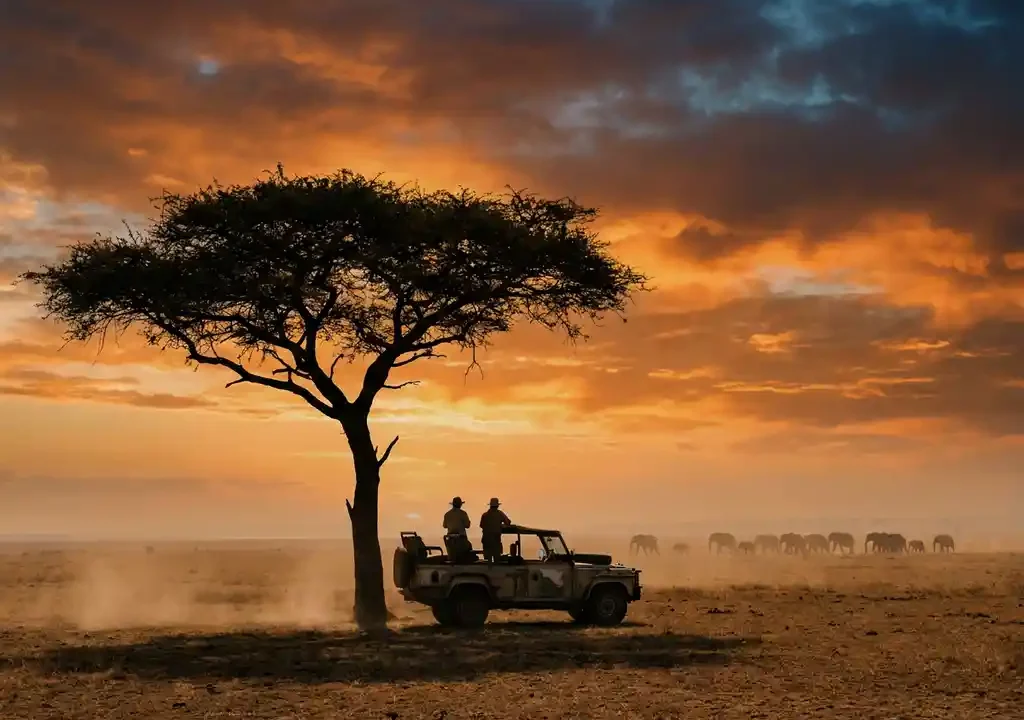 Silhouet van acacia met safarijeep en twee toeschouwers die uitkijken over gouden savanne bij zonsondergang, olifantenkudde in de verte.